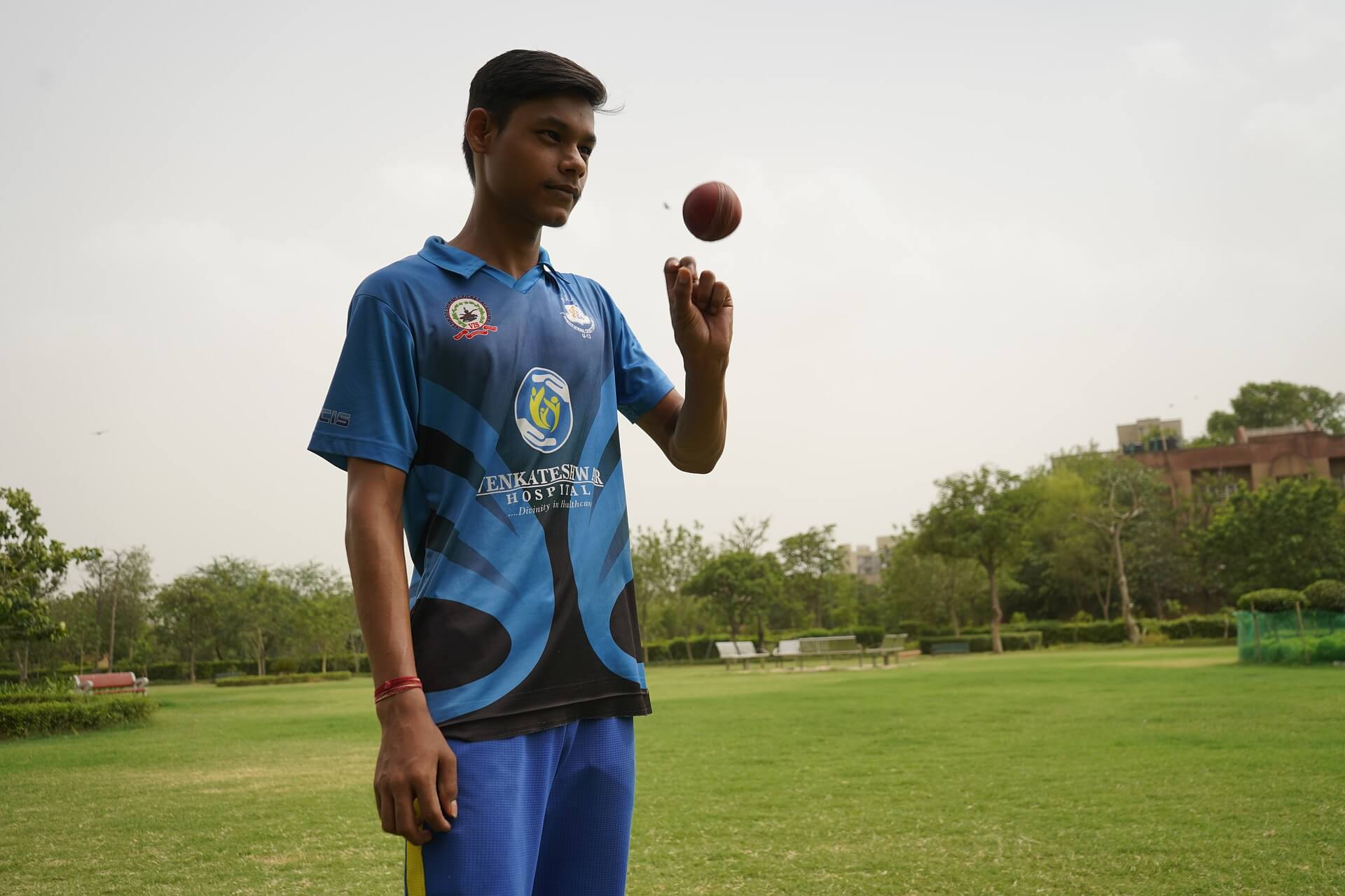 cricket-5365722_1920