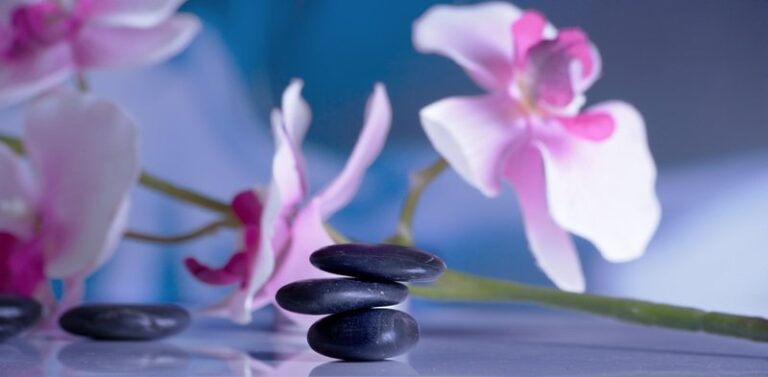 blossom-plant-flower-purple-petal-relax-762339-pxhere.com