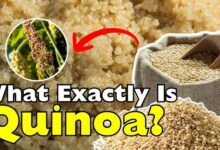 Quinoa Between Tariffs and Tiffins