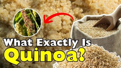 Quinoa Between Tariffs and Tiffins