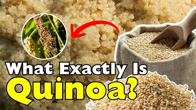 Quinoa Between Tariffs and Tiffins
