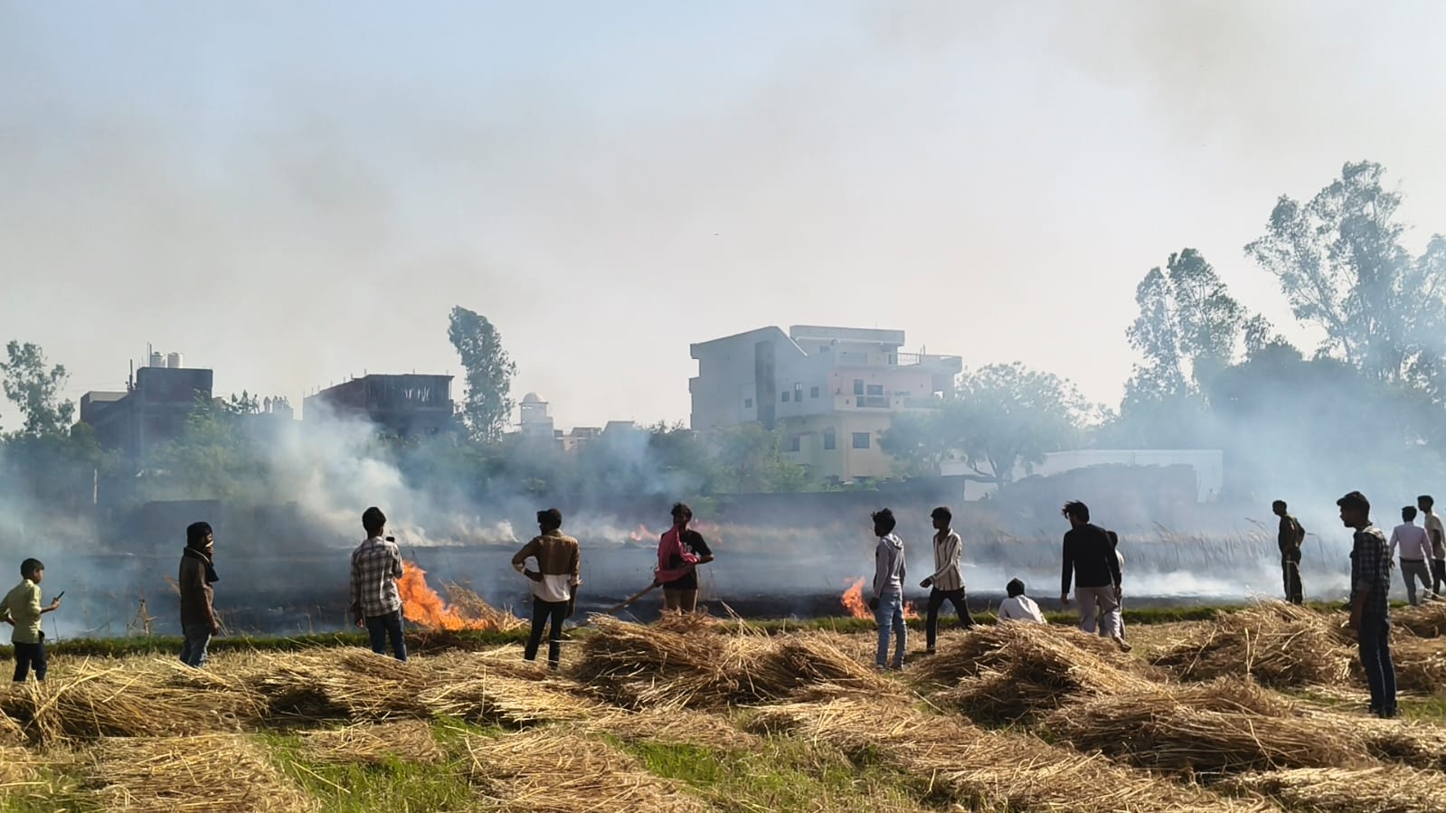 WhatsApp Image 2026-04-12 at 7.36.15 PM